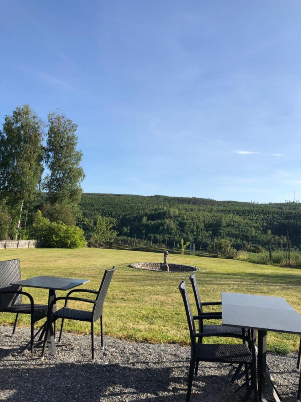 Hotell Restaurang Nämforsen Näsåker Exteriör bild